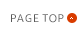 PAGETOP